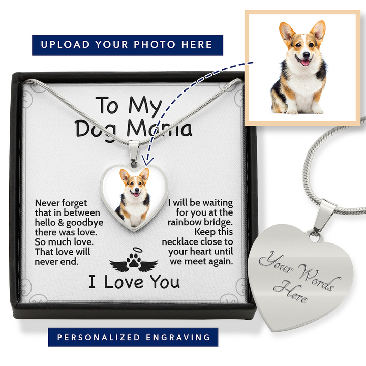 Dog sales loss jewelry